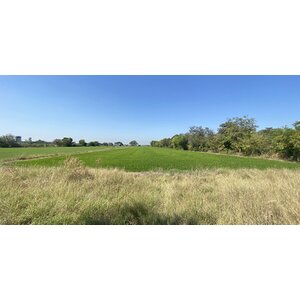 ที่ดินเปล่า