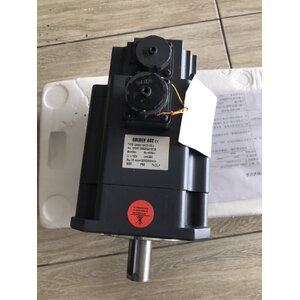 Servo Motor Golden
