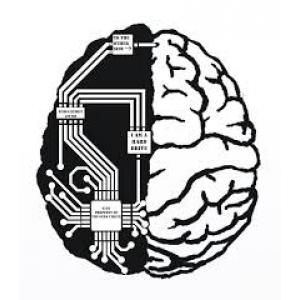 ของเล่นเสริมพัฒนาการ