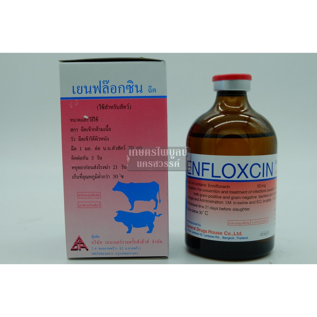 GENFLOXCIN เย็นฟล็อกซิน 100 ml. รักษาโรคติดเชื้อแบคทีเรีย