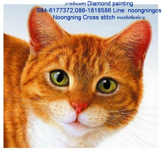 แมวเหมียว ครอสติสคริสตัล Diamond painting โมเสก ภาพติดเพชร งานฝีมือ DIY