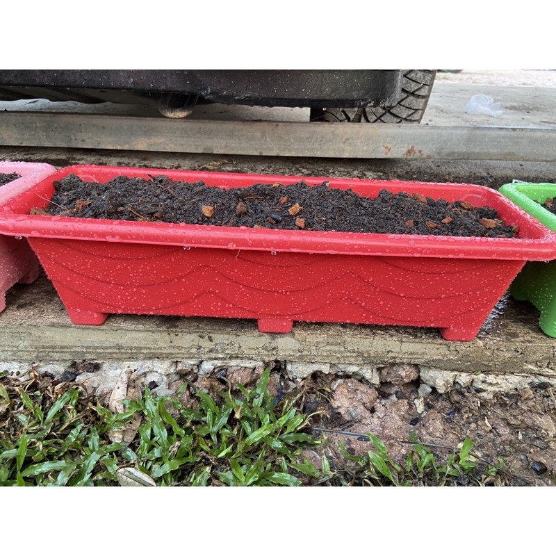 กระถางต้นไม้พลาสติกรางยาว ปลูกต้นไม้และผักสวนครัว ขนาด ยาว 31.5 ซม. x สูง 9 ซม. x กว้าง 10.5 ซม.