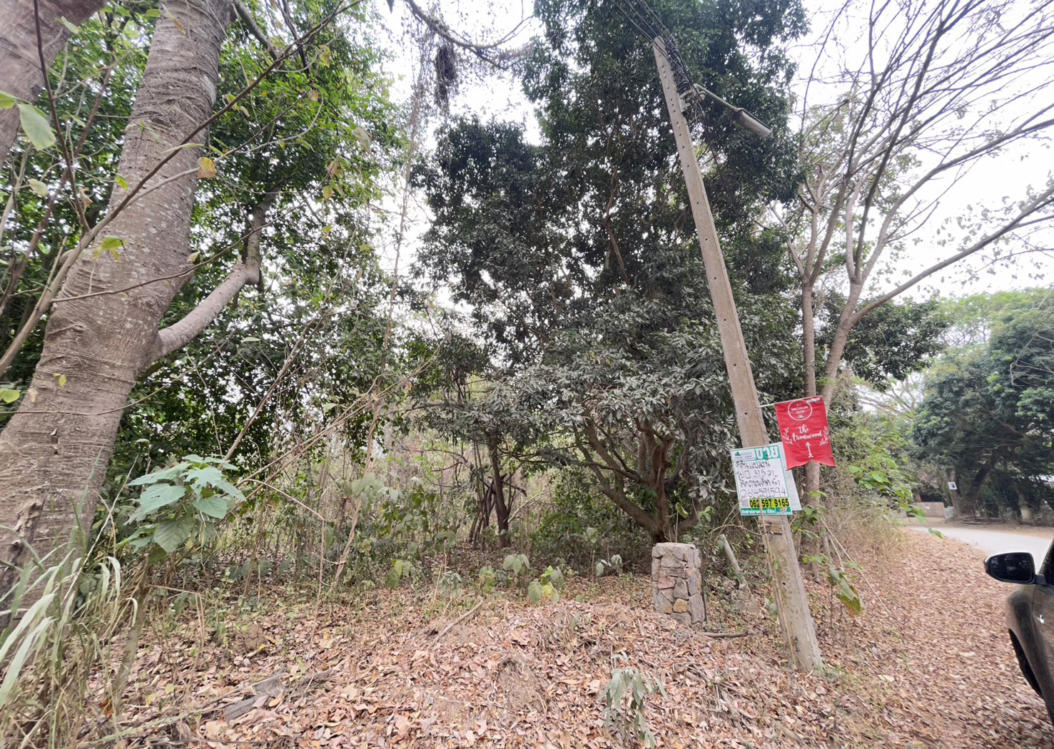 76931-ขายที่ดิน อำเภอแม่ริม จังหวัดเชียงใหม่