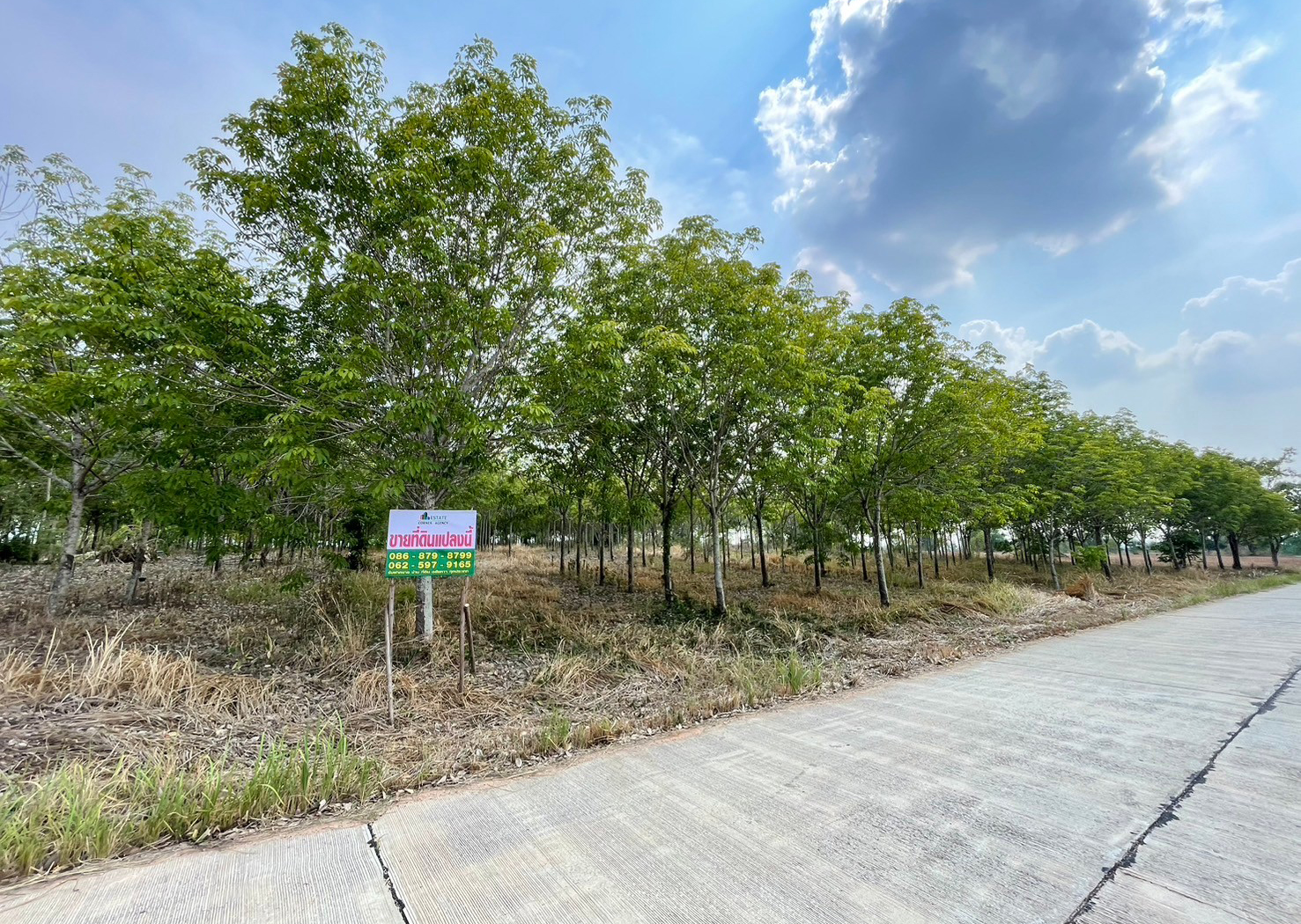 86310-ขายที่ดินพร้อมสวนยาง ต.ชีบน อ.บ้านเขว้า จ.ชัยภูมิ