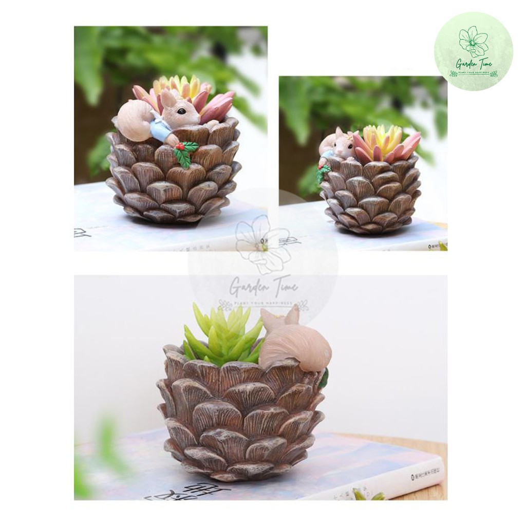 กระถางเรซินกระรอก Resin Pots กระถางไม้อวบน้ำ กระถางต้นไม้ กระถางกุหลาบหิน แต่งสวน ของขวัญ ของชำร่วย ต้นไม้