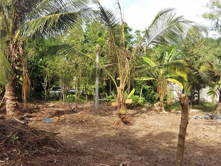 73284-ขายบ้านพร้อมที่ดิน ซอยวัดวังหิน สุขุมวิท ศรีราชา ชลบุรี