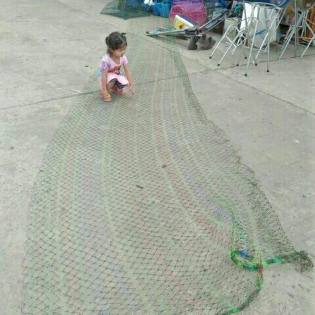 ดาง ดางล้อมไก่ อวนล้อมไก่ ตาข่ายกันไก่ ตาข่ายล้อมสวน ตาข่ายล้อมไก่สำเร็จรูป กั้นไก่ ล้อมรั้ว ตาข่าย ตาข่ายอเนกประสงค์