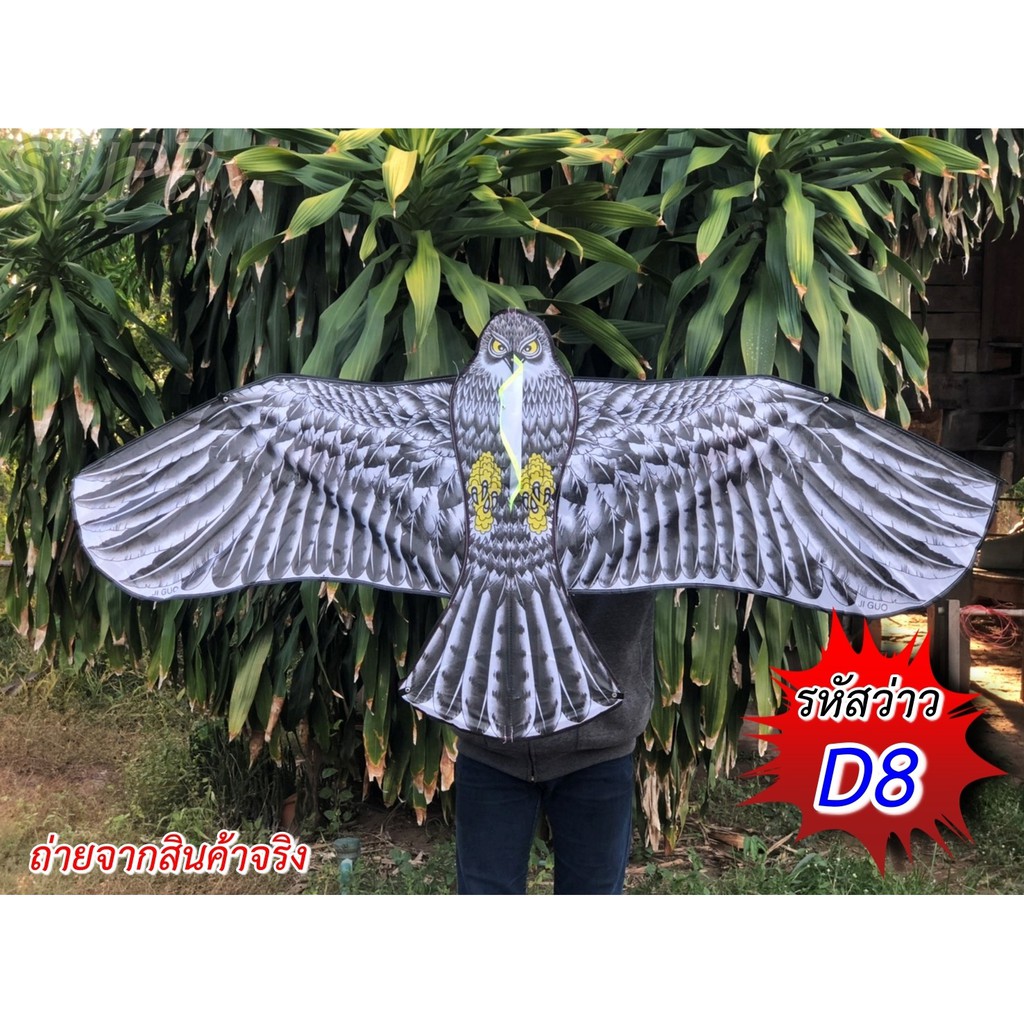 ว่าวไล่นก ว่าวนกอินทรีย์นกเหยี่ยว ว่าวไล่นกกันนกทำลายผลผลิต ว่าวตกแต่งสวน