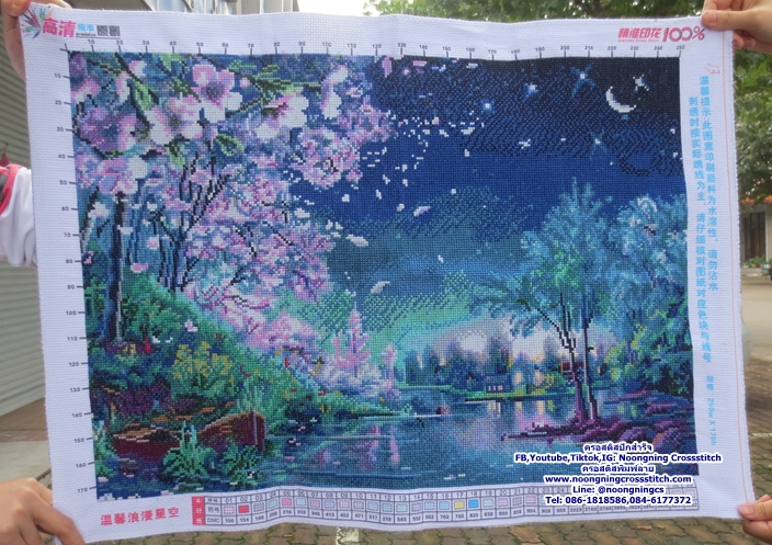 ท้องฟ้าเต็มไปด้วยดวงดาว