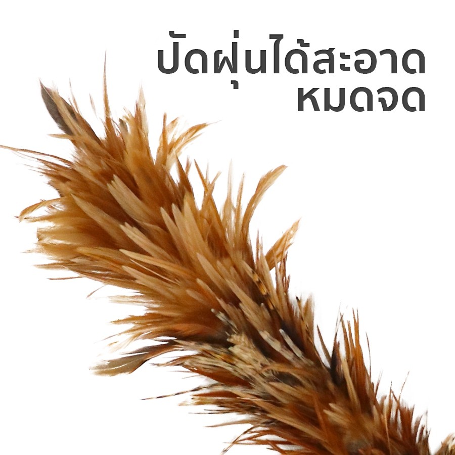 ไม้ขนไก่ยาว 65cm ไม้ขนไก่ปัดรถ ไม้ปัดขนไก่ ไม้ปัดฝุ่น ไม้ปัดฝุ่นขนไก่ ปัดฝุ่นบ้านปัดฝุ่นรถ ทำความสะอาดบ้าน nananatural