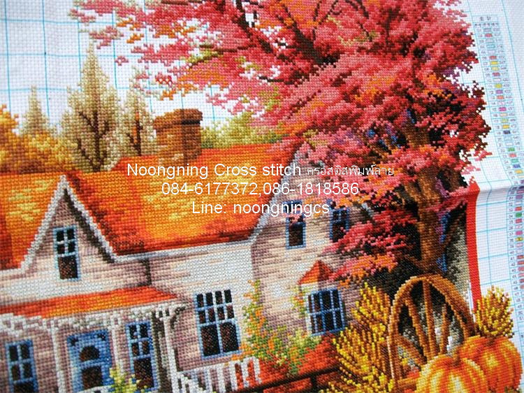 ทักซิโด้ ชุดปักครอสติช พิมพ์ลาย ครอสติสจีน งานฝีมือ DIY