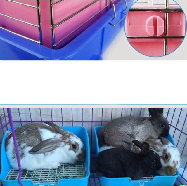 *มาเพิ่มครบทุกสี /ห้องน้ำกระต่าย 💕🐰💕