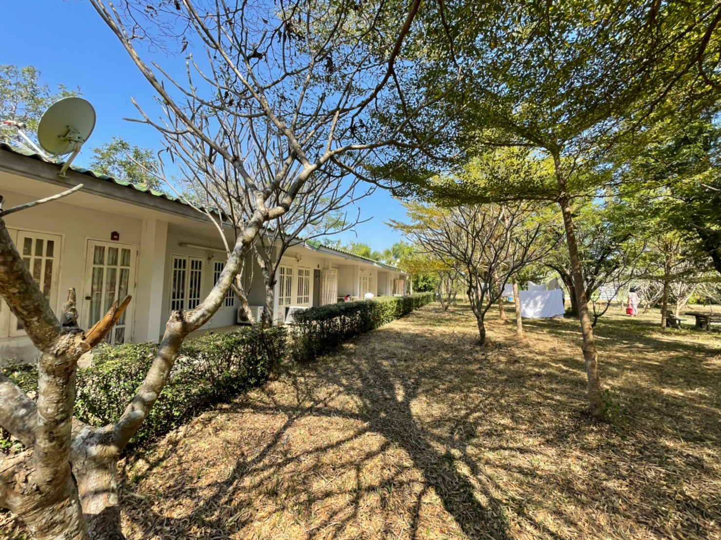 76932-ขายรีสอร์ท น้ำตกตาดหมอก อุทยานแห่งชาติตาดหมอก เมืองเพชรบูรณ์ เพชรบูรณ์