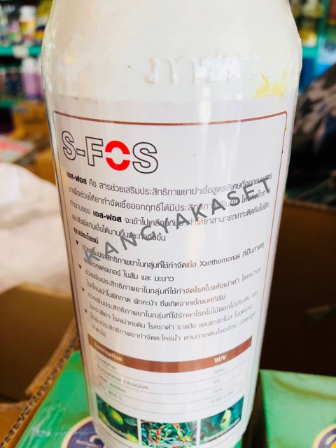 เอสฟอส 👍🏻✨เชื้อราคอรวง เชื้อราต่างๆ เชื้อแบคทีเรีย เชื้อไวรัส ขนาด 500 cc