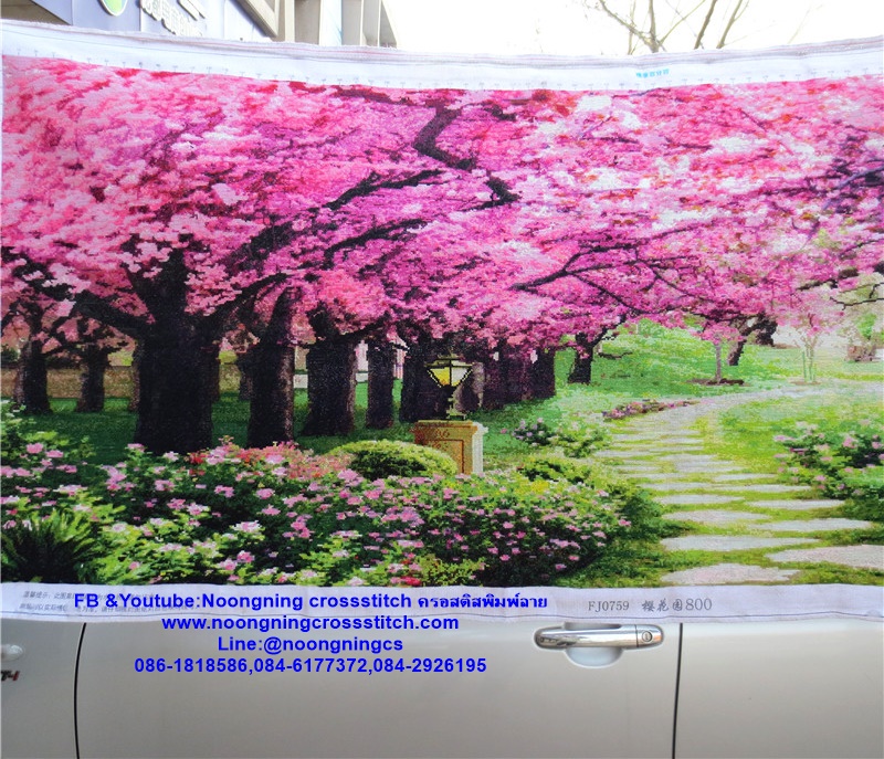 เด็กจีนเงินไหลนองทองไหลมา ชุดปักครอสติส พิมพ์ลาย ครอสติสจีน งานฝีมือทำที่บ้าน DIY