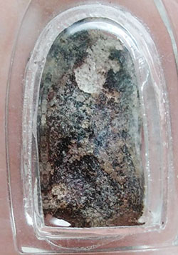 พระคงจิ๋ว เนื้อผงจุ่มรัก หลวงพ่อพริ้ง วัดบางปะกอก ฝั่งธนฯ