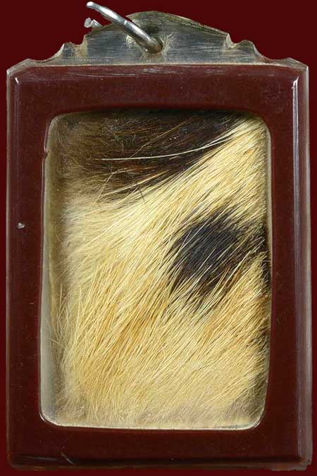 ภาพถ่ายติดหนังเสือ