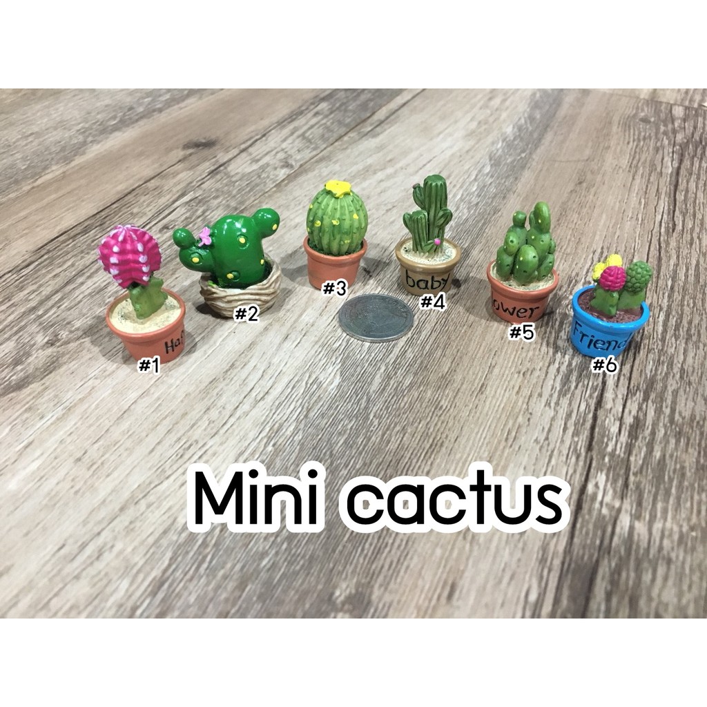 (ตุ๊กตาตกแต่งสวน) กระบองเพชรจิ๋ว มี 12 แบบให้เลือกค่ะ ใครเลี้ยงแล้วตายแนะนำรุ่นนี้ค่ะ ทิ้งขว้างยังไงก็ไม่ตาย