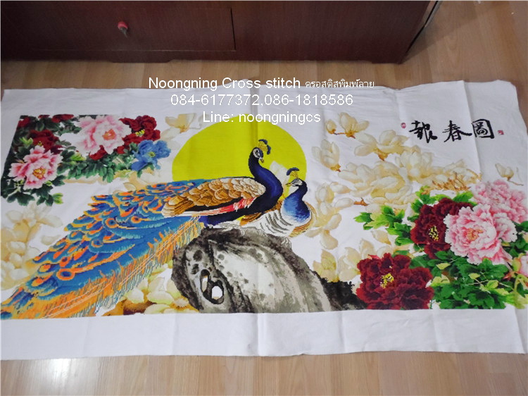 ม้าครอสติสไม่พิมพ์ลาย