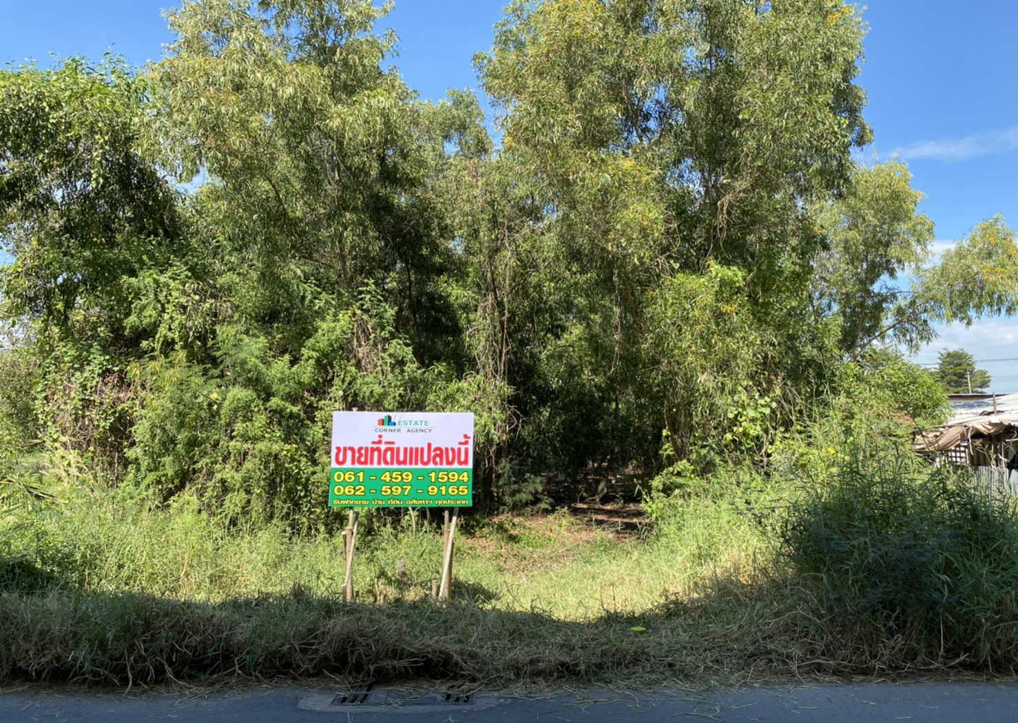 73853-ขายที่ดิน ซอยเทพกุญชร 34 ตลาดไท คลองหลวง ปทุมธานี