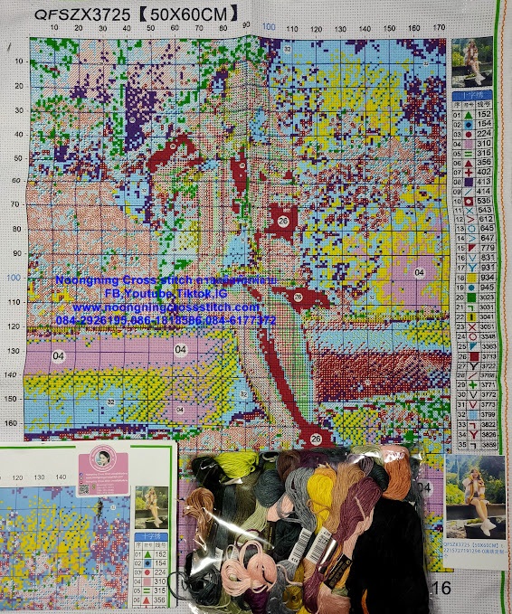 ครอสติส สั่งทํา 60x50ซม รูปปริญญา ชุดปักครอสติส พิมพ์ลาย ครอสติสจีน งานฝีมือทำที่บ้าน DIY