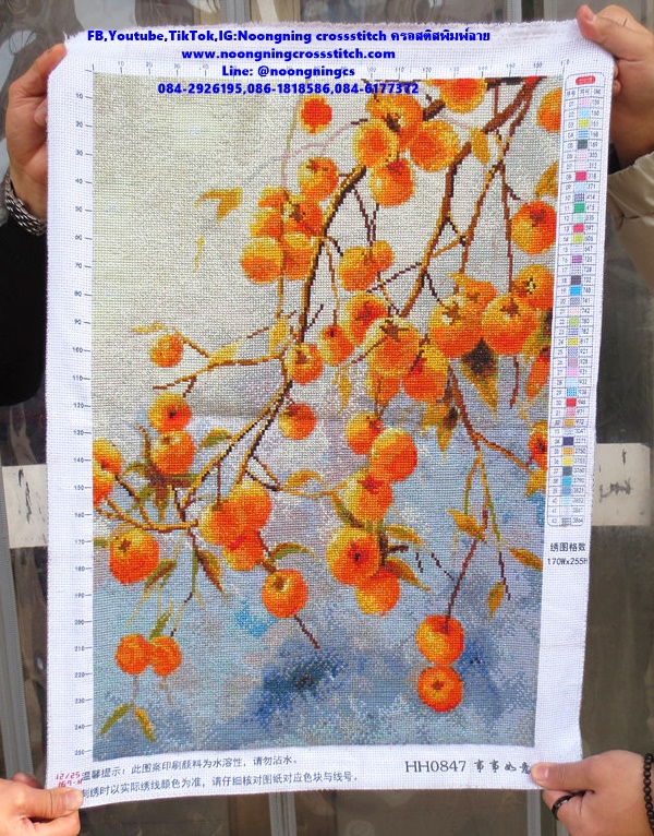 ลูกพลับ ครอสติสปักสำเร็จ45x65cm ไม่รวมกรอบ งานฝีมือ DIY