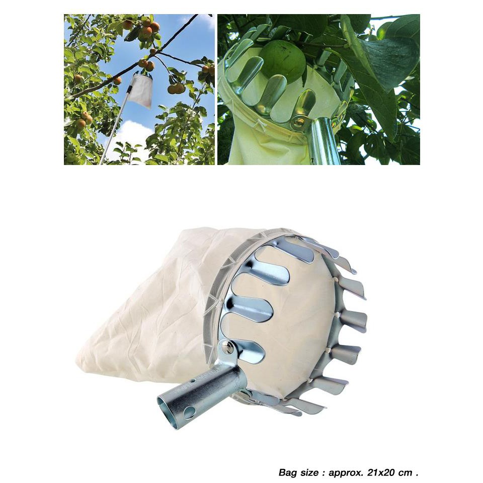 !!สินค้าขายดี!! อุปกรณ์สอยผลไม้ ตะกร้อสอยผลไม้ ที่สอยผลไม้ Fruit Picker
