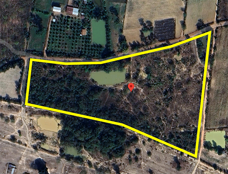 86356 ขายที่ดินเปล่า ต.สร้างก่อ อ.กุดจับ จ.อุดรธานี