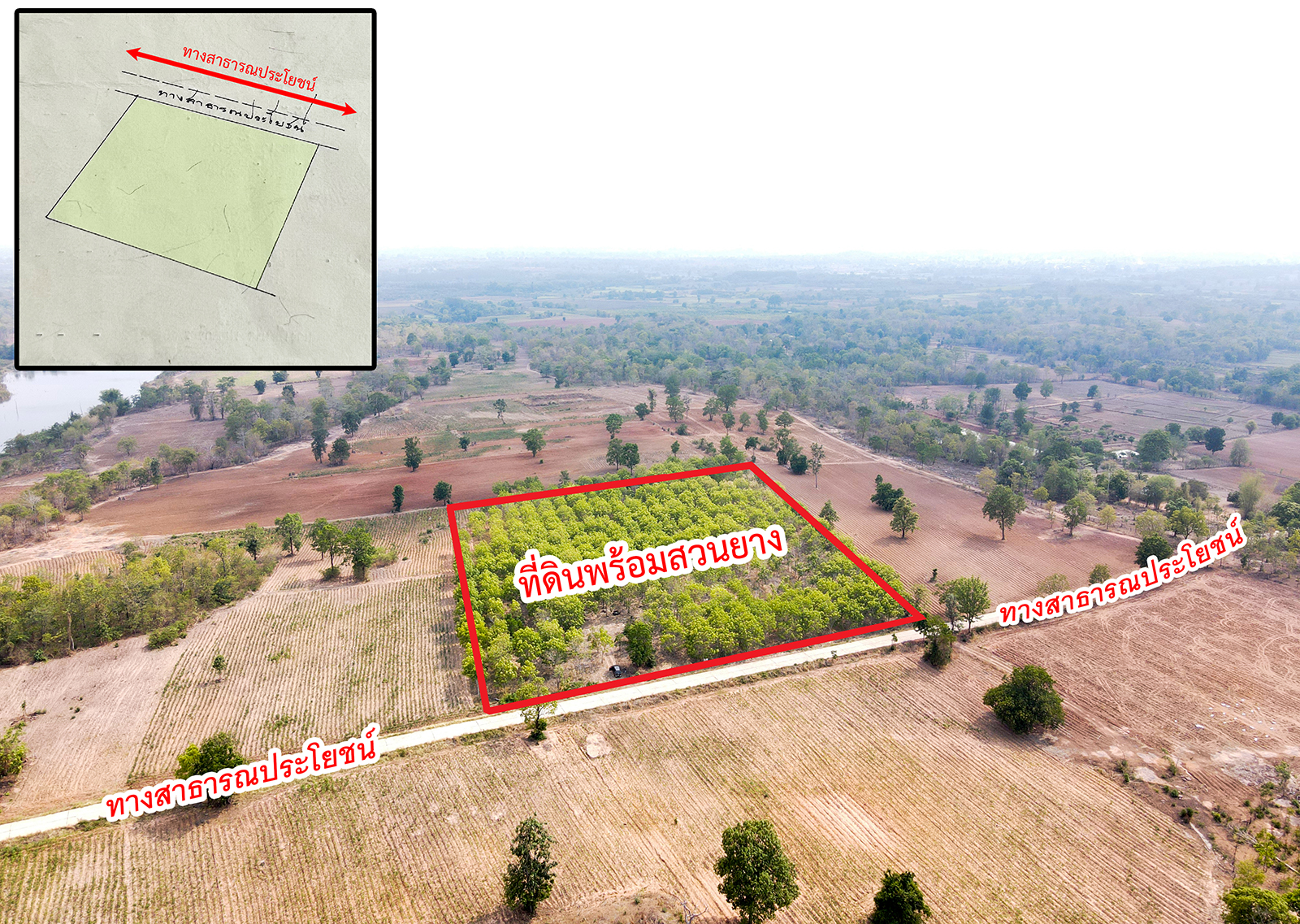 86310-ขายที่ดินพร้อมสวนยาง ต.ชีบน อ.บ้านเขว้า จ.ชัยภูมิ