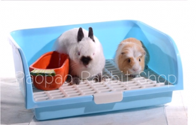 ห้องน้ำกระต่าย ขนาดใหญ่