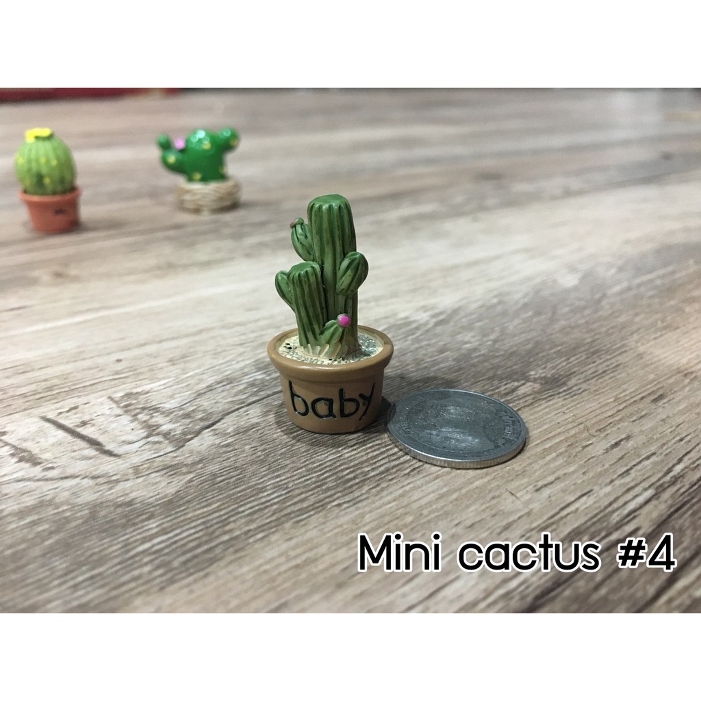 (ตุ๊กตาตกแต่งสวน) กระบองเพชรจิ๋ว มี 12 แบบให้เลือกค่ะ ใครเลี้ยงแล้วตายแนะนำรุ่นนี้ค่ะ ทิ้งขว้างยังไงก็ไม่ตาย