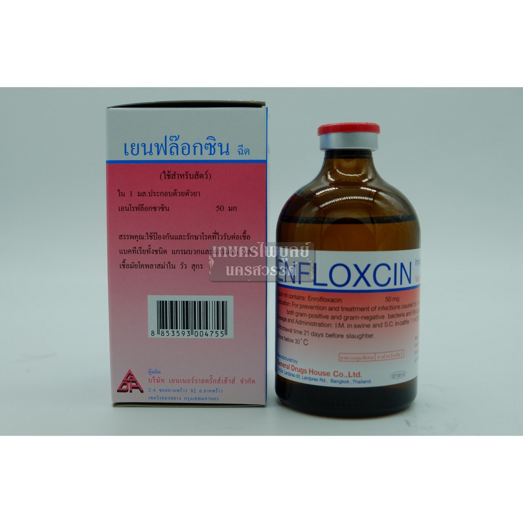 GENFLOXCIN เย็นฟล็อกซิน 100 ml. รักษาโรคติดเชื้อแบคทีเรีย