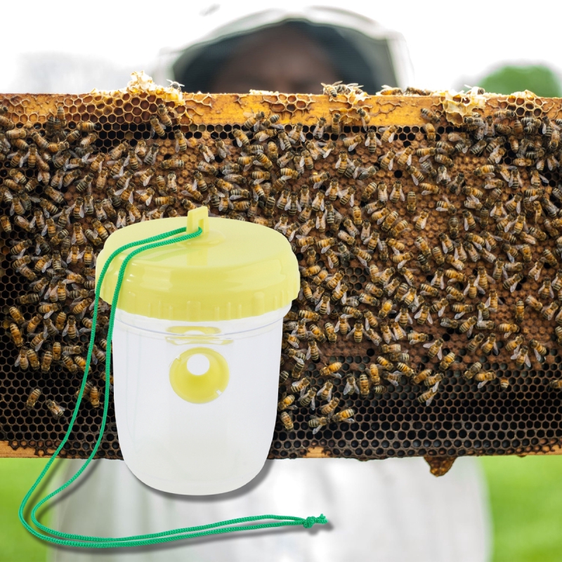 สวนตัวต่อจับผึ้งดักสัตว์ผลไม้แมลงวันกับดักถังแมลงวันแตนแตนดักบ้านเครื่องมือสวน