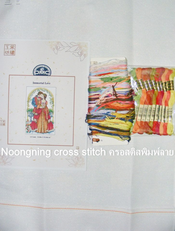 เหยี่ยว ชุดปักครอสติช พิมพ์ลาย ครอสติสจีน งานฝีมือ DIY