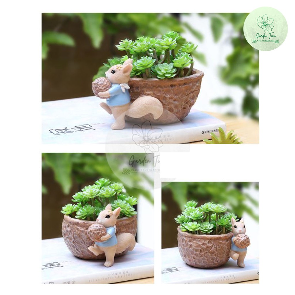 กระถางเรซินกระรอก Resin Pots กระถางไม้อวบน้ำ กระถางต้นไม้ กระถางกุหลาบหิน แต่งสวน ของขวัญ ของชำร่วย ต้นไม้