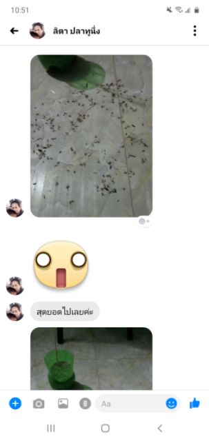 (ล็อตใหม่)5 ห่อ ธูปกำจัดยุง ธูปหอมไล่ยุง🔥สูตรใหม่จุดได้ทั้งในและนอกบ้านสีเดียวจบไม่ต้องใช้หลายสี