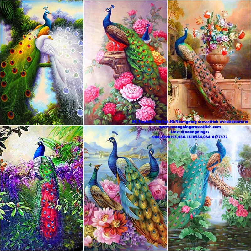 นกยูง ชุดปักครอสติช พิมพ์ลาย ครอสติสจีน งานฝีมือ DIY