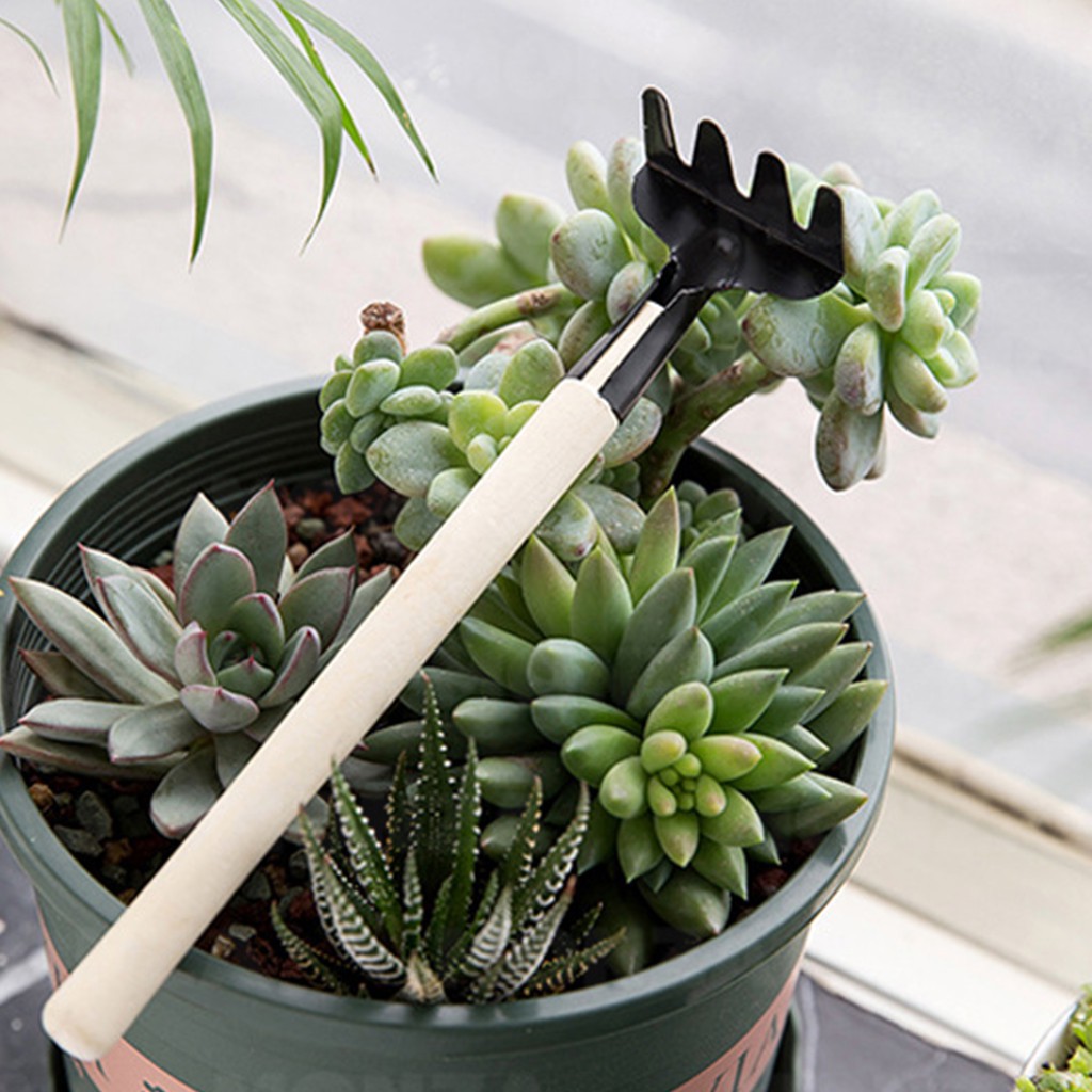 ช้อนเกาหลี ที่ตักไอศครีม ช้อน ชุดทำสวนจิ๋ว อุปกรณ์ทำสวน ไซส์เล็ก ช้อนปลูก พลั่วจิ๋ว จัดสวน แต่งสวน 3 ชิ้น NO.Y396