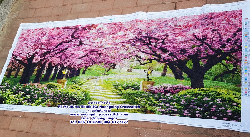 ทิวทัศน์ต้นซากุระบ้านในฝัน ครอสติสปักสำเร็จ11CT:ขนาดผ้า :150X60 ซม.