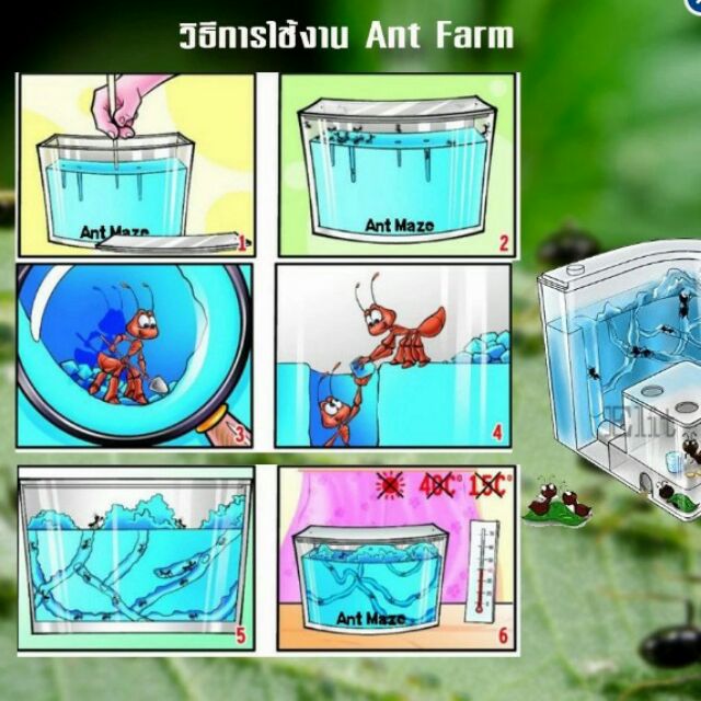 บ้านมด ที่เลี้ยงมีไฟส่อง กล่องเลี้ยงมด ฟาร์มมดของเล่น บ้านมด ฟาร์มมดเจลเขาวงกต Ant Farm-B(มีไฟLED)