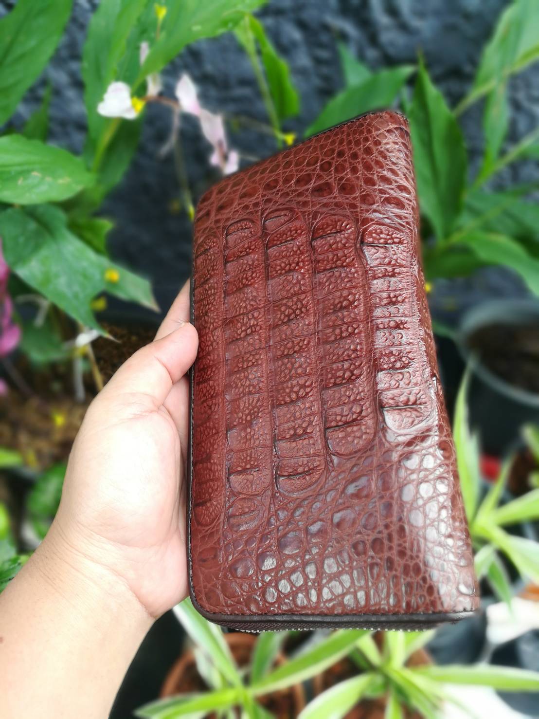 กระเป๋าหนังจระเข้แท้แบบซิปเดี่ยว(หนังกระดูกหัว)