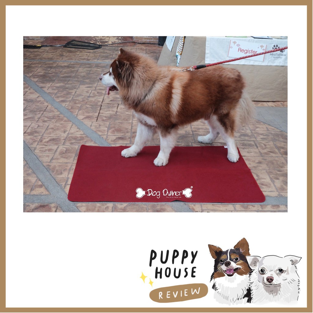 แผ่นรองฉี่สุนัขซักได้ (Dog Owner) ผ้ารองฉี่ แผ่นรองฉี่สุนัข ห้องน้ําสุนัข