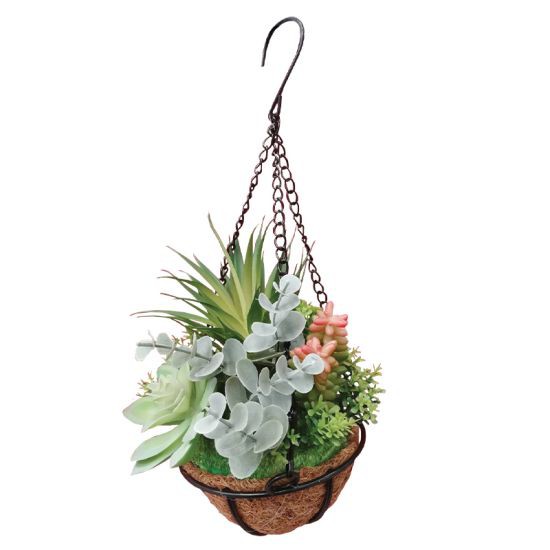 FONTE แคคตัสใบสูง พร้อมกระถางแขวน รุ่น 190455 ขนาด 13 x 13 x 40 ซม. สีเขียว - ส้ม