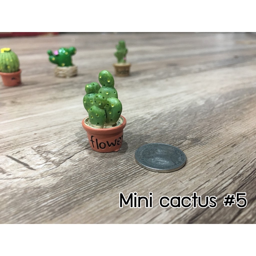 (ตุ๊กตาตกแต่งสวน) กระบองเพชรจิ๋ว มี 12 แบบให้เลือกค่ะ ใครเลี้ยงแล้วตายแนะนำรุ่นนี้ค่ะ ทิ้งขว้างยังไงก็ไม่ตาย