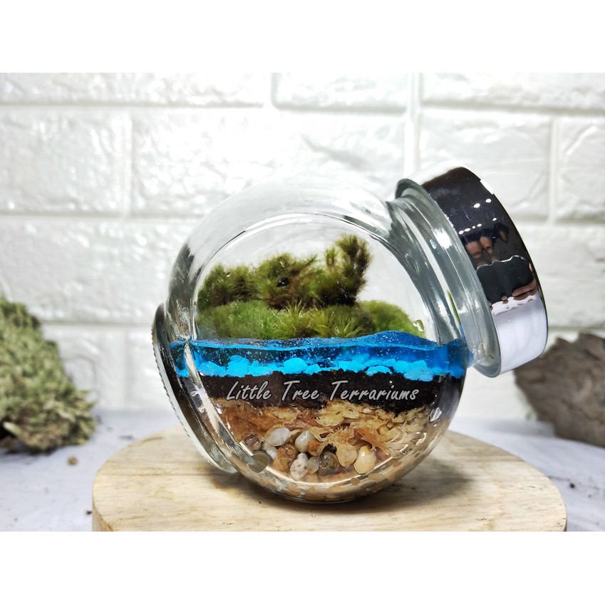 ชุดสวนขวดแก้วกลมเอียงพร้อมเจลน้ำตกแต่ง ขนาดสินค้าตามที่ระบุไว้ อ่านก่อนสั่งซื้อ