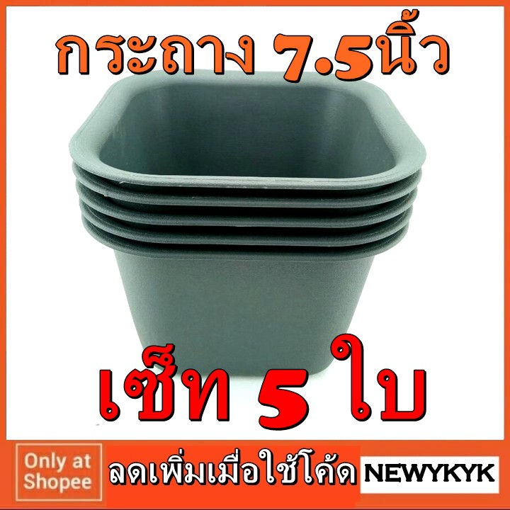 กระถาง 5 ใบ ใหญ่ 7.5นิ้ว สีดำอมเทา ปลูกต้นไม้ ได้จนโต พลาสติก ทรงเหลี่ยม ปลูก เมล็ดพันธุ์ สลัด แคคตัส สวนครัว ต้นจริง224