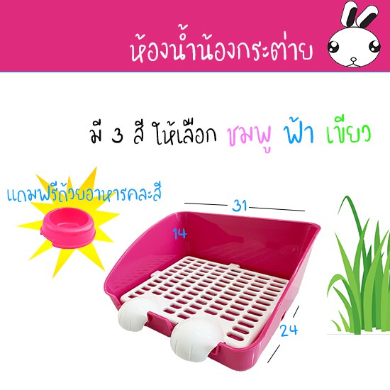 ห้องน้ำกระต่ายขนาดใหญ่ ห้องน้ำกระต่าย ส้วมกระต่าย ห้องน้ำกระต่ายทำความสะอาดง่าย ห้องน้ำกระต่ายไซส์ใหญ่