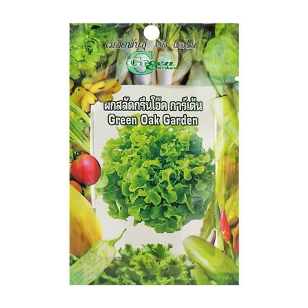 เมล็ดพันธุ์ผักสลัด กรีนโอ๊ กรีน การ์เด้น แข็งแรง ออกรากง่าย