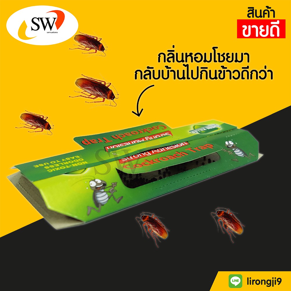 บ้านแมลงสาบ ดักจิ้งจก แมลงสาบ จิ้งจก สินค้าใหม่ ปลอดภัยไม่มีสารเคมี บ้านแมลงสาป
