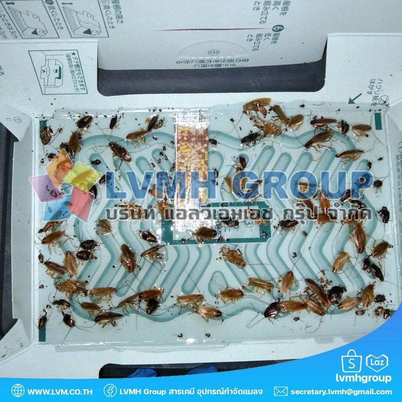 พร้อมส่ง!! ARS ฮอย ฮอย บ้านแมลงสาบ กำจัดแมลงสาบ ดักแมลงสาบ ดักจิ้งจก นวัตกรรมจากประเทศญี่ปุ่น | 1 กล่อง บรรจุ 3 หลัง